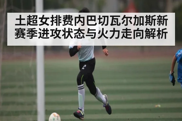 土超女排费内巴切瓦尔加斯新赛季进攻状态与火力走向解析